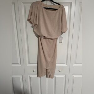 Kensie Beige Shimmer Dress